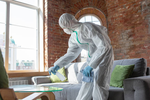 Why You Should Choose Our Mold Remediation Services in Dayton, IN